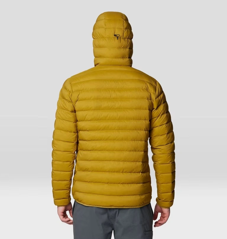 Men's Deloro™ Down Full Zip Hoody